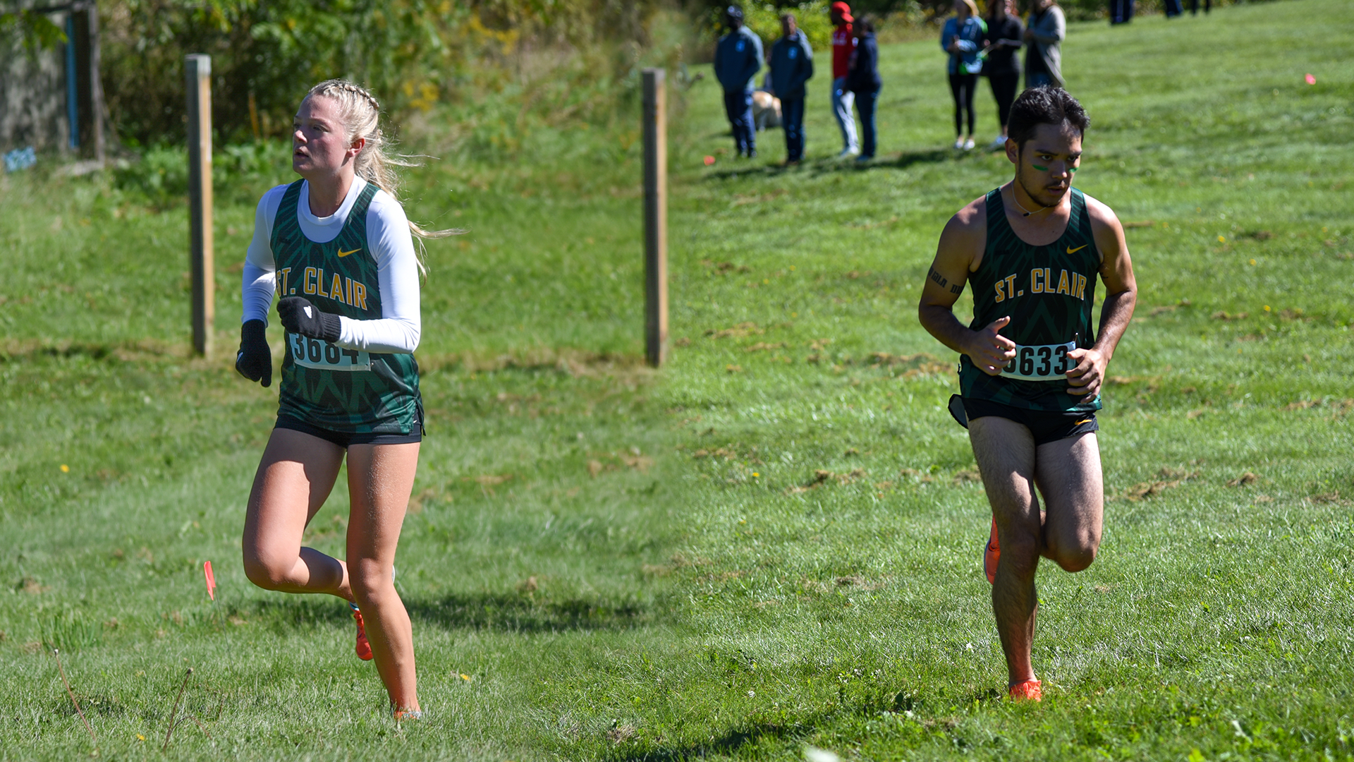 St. Clair Cross Country Travel to the Fanshawe College Invitational in London Saturday
