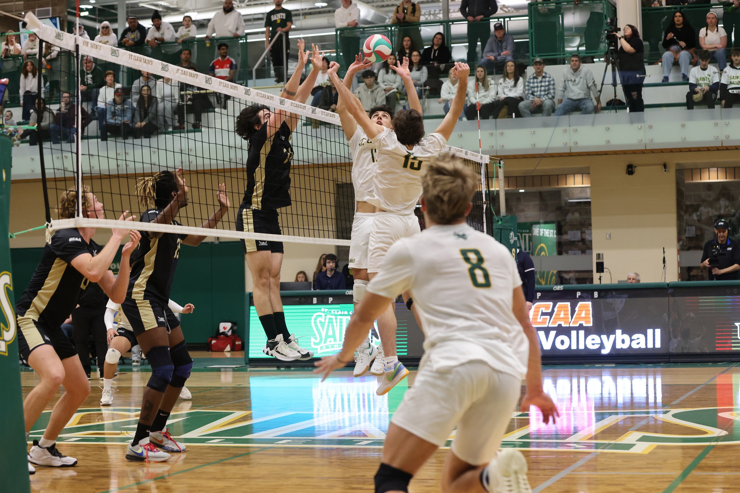 Men's Volleyball Lose Battle for First Place