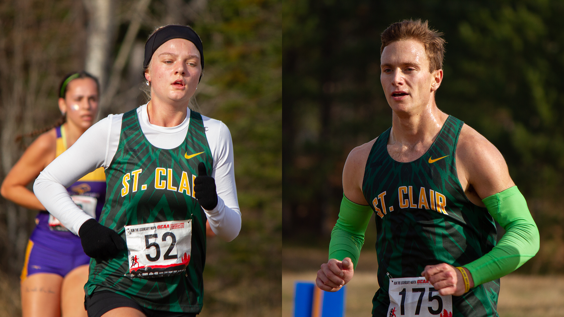 St. Clair Cross Country in Alberta Again for Nationals
