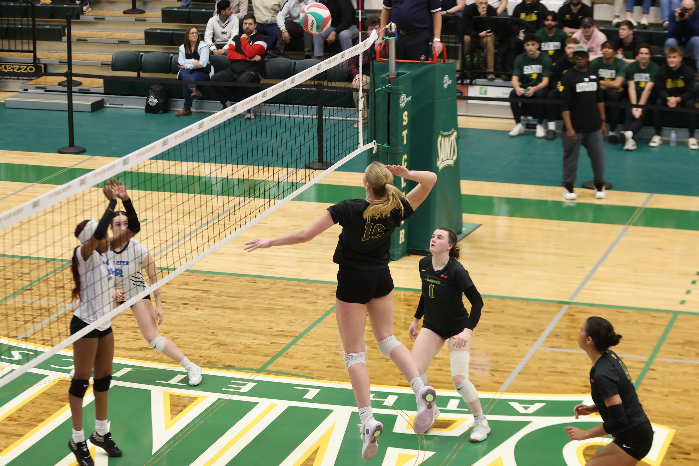 Women's Volleyball to Host Quarterfinal with Playoff Win
